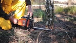 Best Tree Mulching  in Fort Mckinley, OH